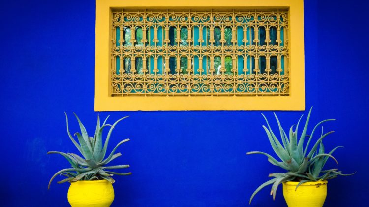 Concrete Workshop in Berlin: Create Your Own Planter and Get Creative