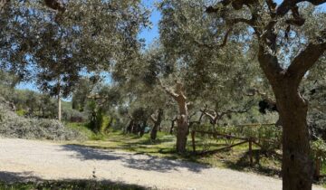 Auf der Suche nach unserem Casale…